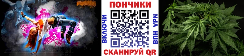 Купить  Камышин  Бошки марихуана Amnesia 